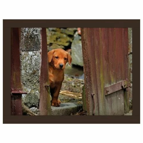 Rural Roots Fox Red Lab Lap Tray