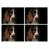 Rural Roots Springer Spaniel Placemat Pack Of 4