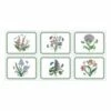 Portmeirion Botanic Garden Placemats Set Of 6